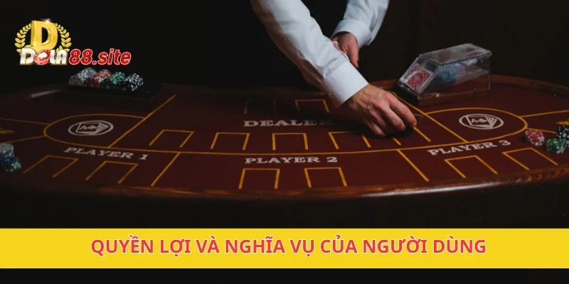 Miễn Trừ Trách Nhiệm DOLA88 – Đảm Bảo Quyền Lợi Người Chơi 2 Quyền lợi và nghĩa vụ của người dùng